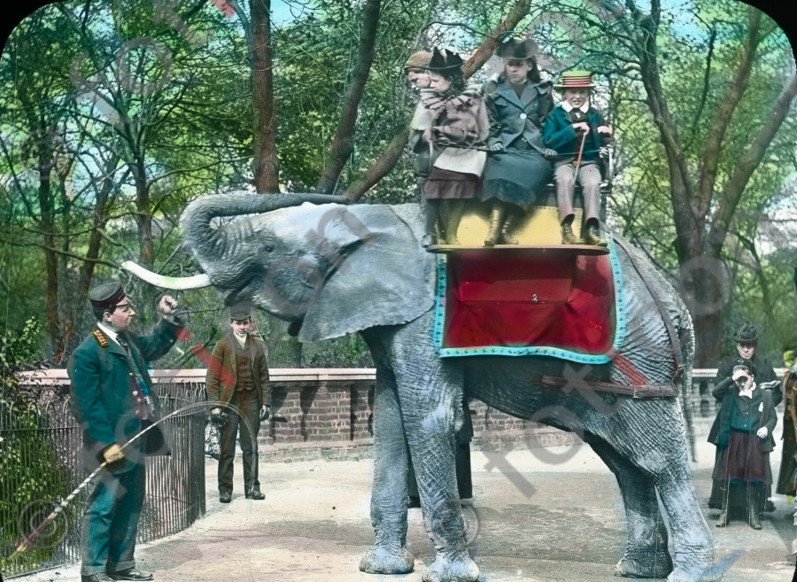 Auf einem Elefanten | On an elephant - Foto foticon-simon-167-015.jpg | foticon.de - Bilddatenbank für Motive aus Geschichte und Kultur